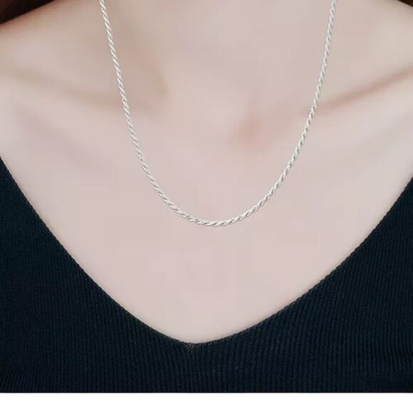 Giani Bernini Sterling Silver Diamond cut rope chain 20” Necklace - Picture 6 of 8